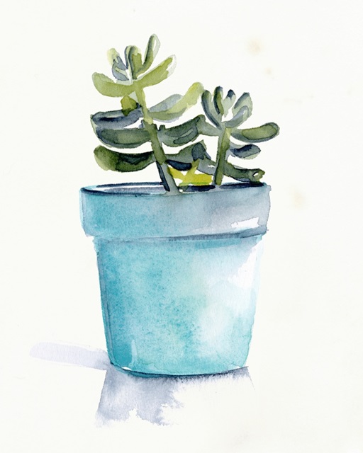 Potted Succulent II