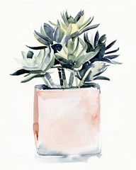 Potted Succulent IV