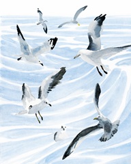 Seagull Soiree II