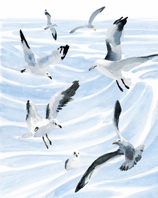 Seagull Soiree II