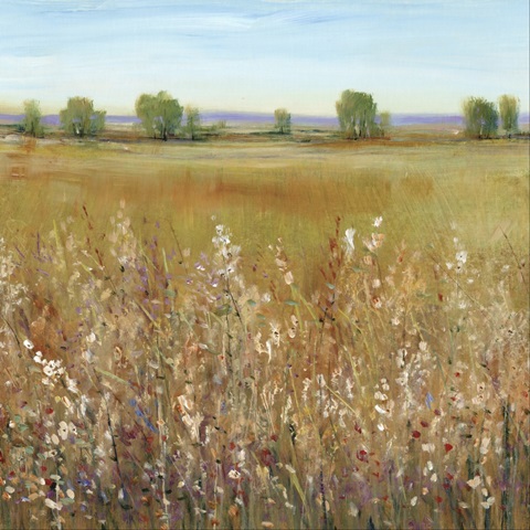 Abundance of Wildflowers I