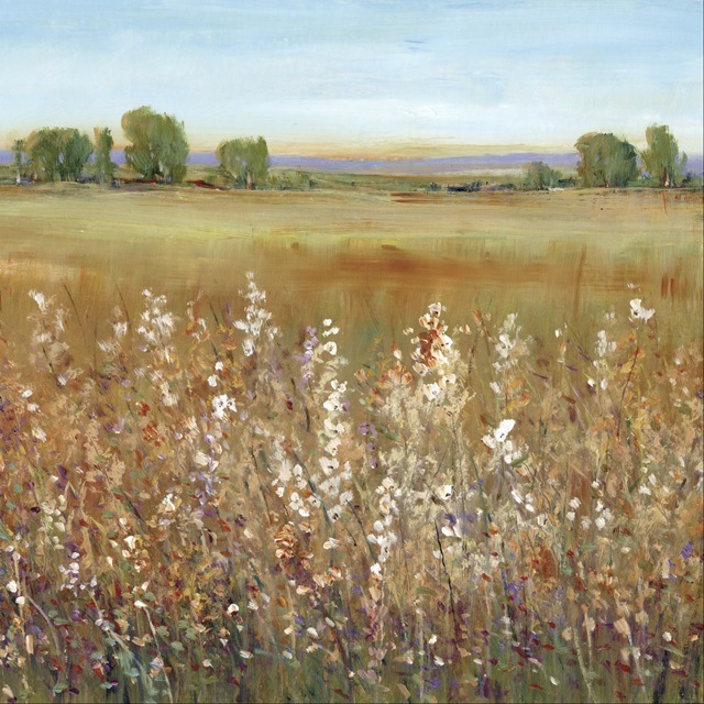 Abundance of Wildflowers II