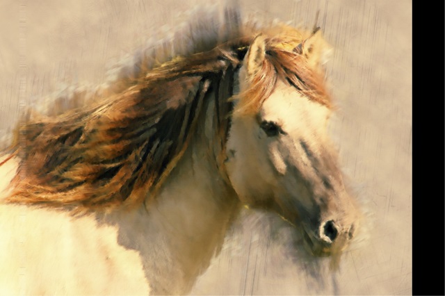 Blended Horse I