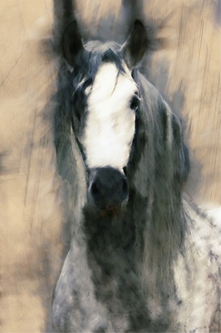 Blended Horse II