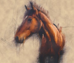 Blended Horse III