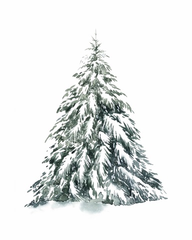 Blue Spruce I