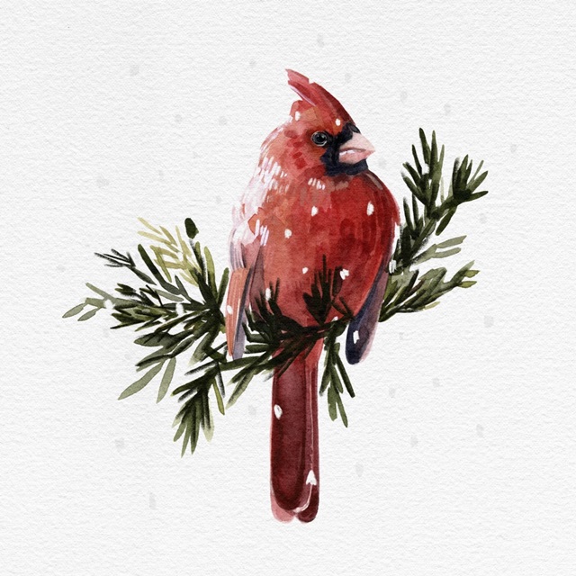 Cardinal with Snow I