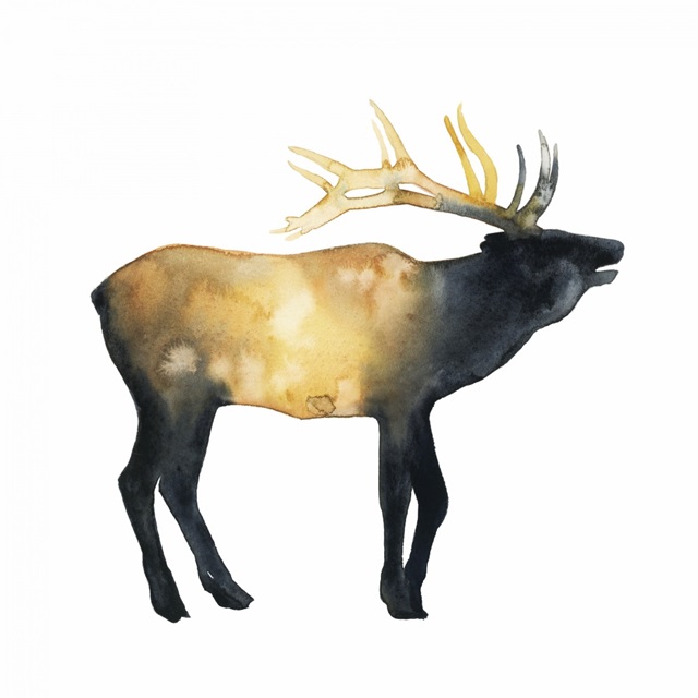 Elk Aglow II