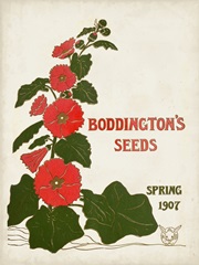 Antique Seed Packets I