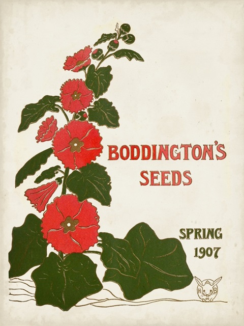 Antique Seed Packets I