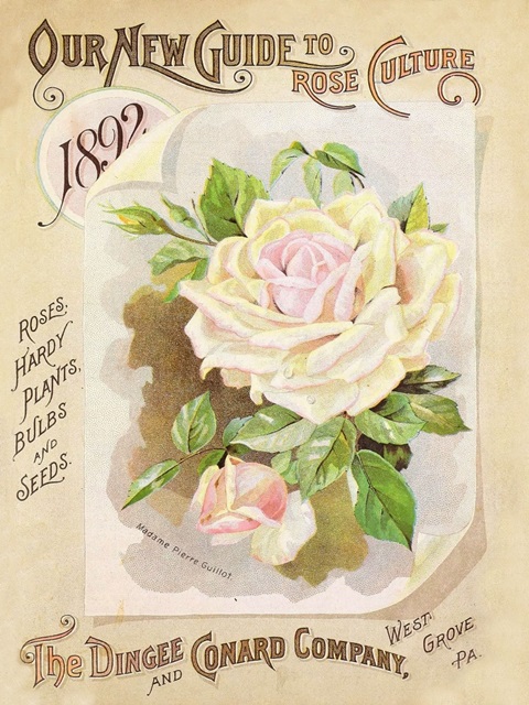 Antique Seed Packets IX