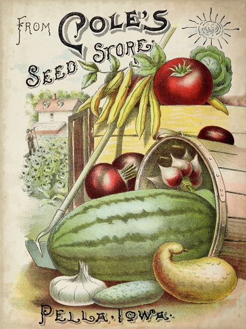 Antique Seed Packets VI