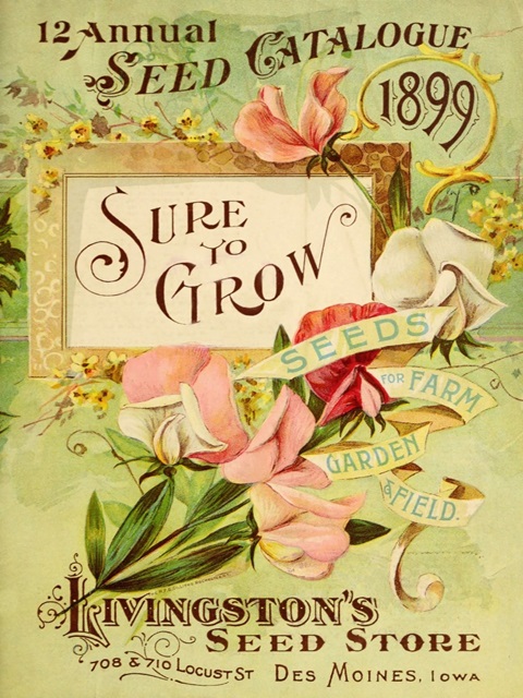 Antique Seed Packets VIII