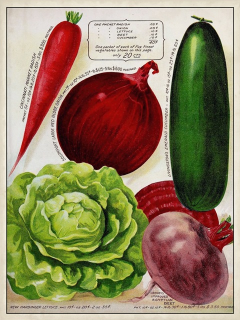 Antique Seed Packets XI