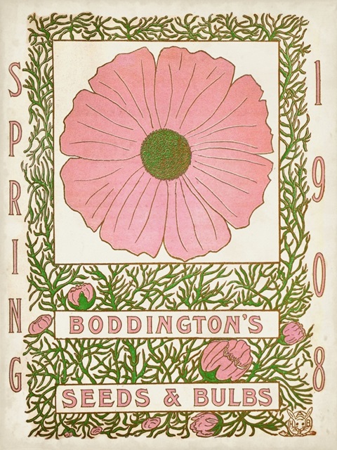 Antique Seed Packets XV