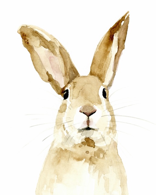 Bunn II