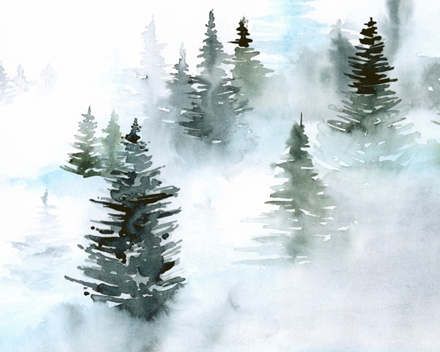 Foggy Evergreens I