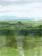 Jewel Tone Terrain I