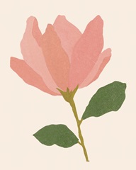 Magnolien I