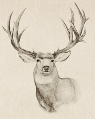 Natural Buck II