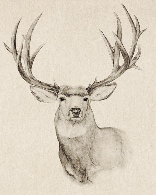 Natural Buck II