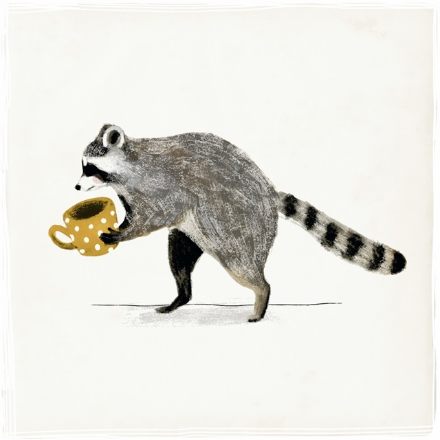 Rascally Raccoon III