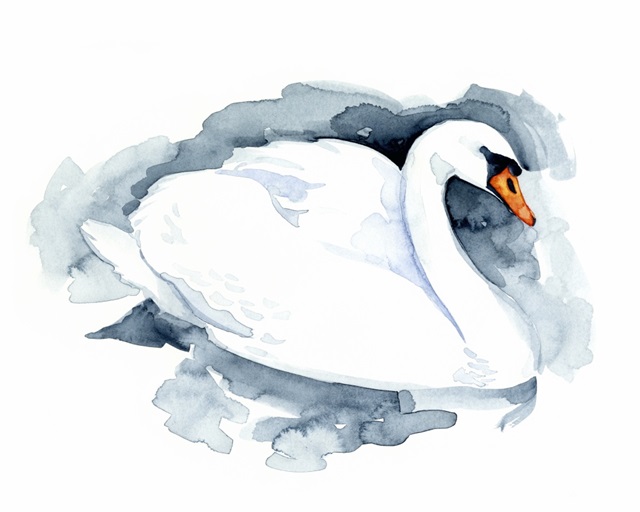 Silverlake Swan I