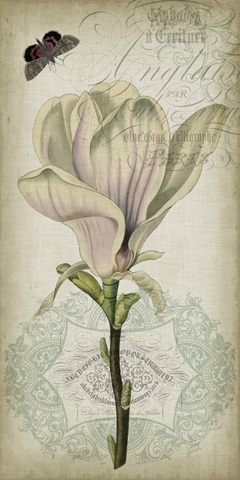 Cartouche and Floral I