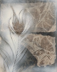 Feather and Stone II