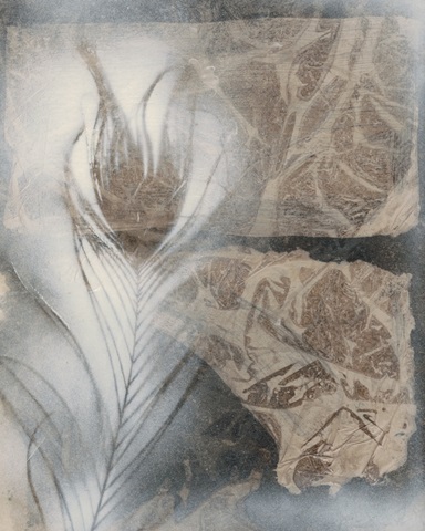 Feather and Stone II