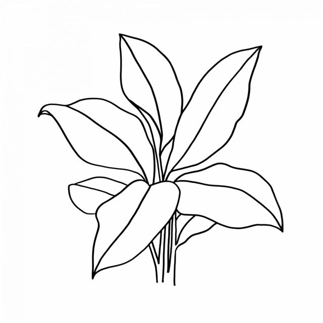 Foliage Contour II