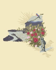 Illustrated State-New York