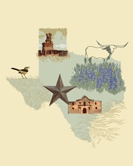 Illustrated State-Texas