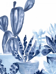 Indigo Succulent IV