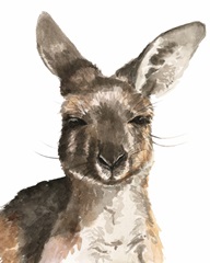 Kangaroo Portrait I