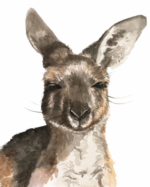 Kangaroo Portrait I