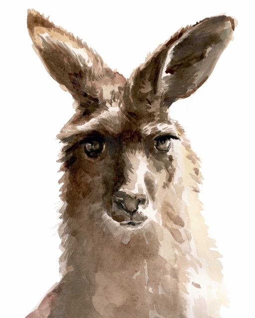 Kangaroo Portrait II