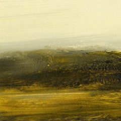 Light on the Horizon I