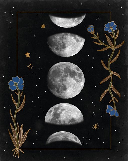 Night Moon II