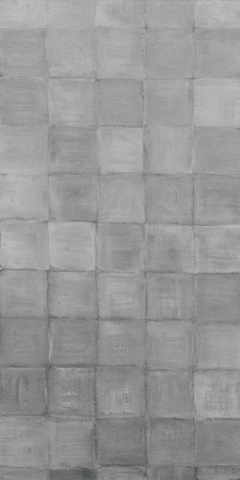 Non-Embellished Grey Scale I