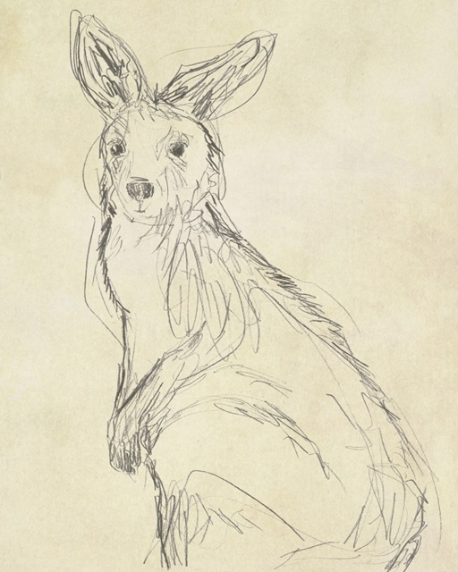 Outback Sketch IV
