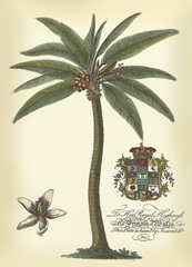 Palm and Crest I