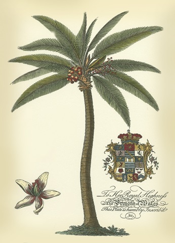 Palm and Crest I