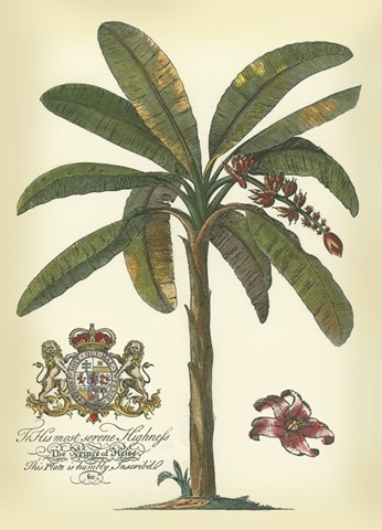 Palm and Crest II