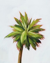 Palm Glow II
