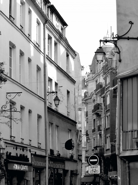 Parisian Stroll III