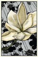 Patterned Magnolia II