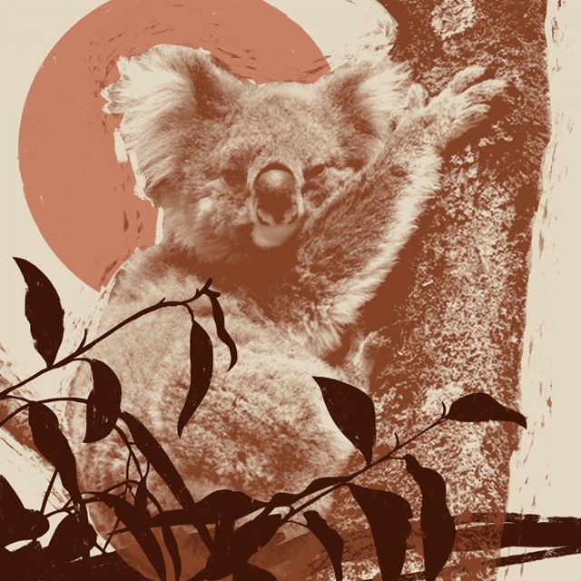 Pop Art Koala I