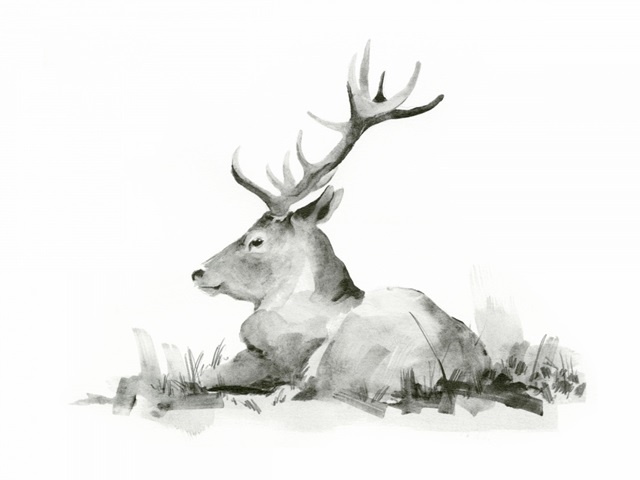 Recumbent Stag II