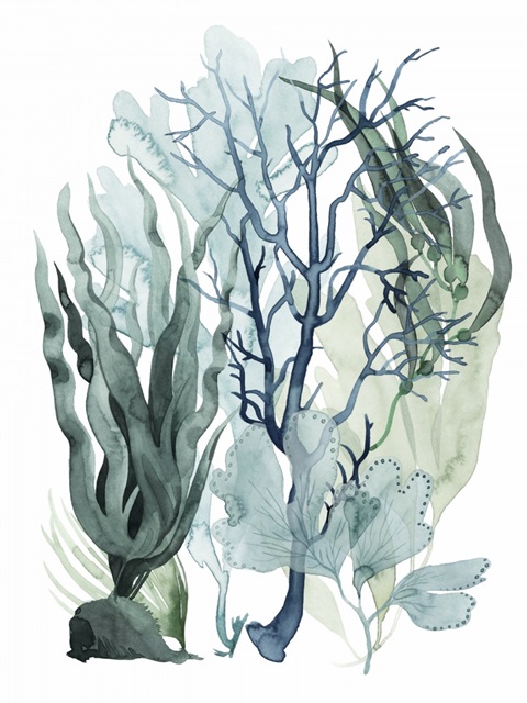 Sea Leaves IV